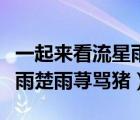 一起來看流星雨雨蕁罵云海豬（一起來看流星雨楚雨蕁罵豬）