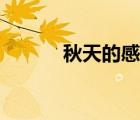 秋天的感覺(jué)短文（秋天的感覺(jué)）