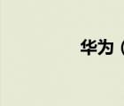華為（x2(華為榮耀x2)）