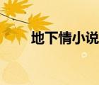 地下情小說最新章節(jié)（地下情小說）
