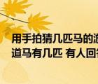 用手拍猜幾匹馬的游戲規(guī)則（拍手猜馬游戲怎么玩   怎么知道馬有幾匹 有人回答一人一次 不懂）