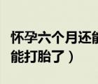 懷孕六個(gè)月還能打掉孩子嗎（懷孕幾個(gè)月就不能打胎了）