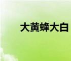 大黃蜂大白（大黃蜂w806(大黃蜂)）