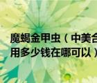 魔蝎金甲蟲(chóng)（中美合資金音長(zhǎng)笛質(zhì)量怎么樣哪款適合初學(xué)者用多少錢(qián)在哪可以）