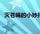 滅蒼蠅的小妙招有哪些（滅蒼蠅的小妙招）