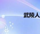 武陵人人力資源（武陵人）