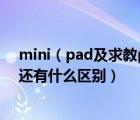mini（pad及求教pad及air和mini及pad除了大小不一樣還有什么區(qū)別）