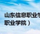 山東信息職業(yè)學(xué)院是公辦還是民辦（山東信息職業(yè)學(xué)院）