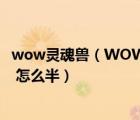 wow靈魂獸（WOW 賤民的指引 任務物品 靈魂墜飾 弄丟了 怎么半）
