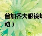 普加喬夫眼鏡蛇機(jī)動(dòng)起飛（普加喬夫眼鏡蛇機(jī)動(dòng)）