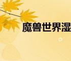 魔獸世界濕地紅龍在（濕地紅龍在）