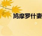鳩摩羅什妻子簡介（鳩摩羅什妻子）