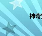 神奇寶貝女主角含乳量
