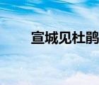 宣城見杜鵑花詩意（宣城見杜鵑花）