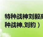 特種戰(zhàn)神劉毅高梅小說（劉毅為主角的小說特種戰(zhàn)神,劉豹）