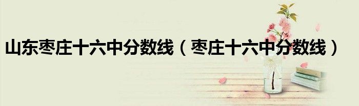 山東棗莊十六中分數(shù)線（棗莊十六中分數(shù)線）