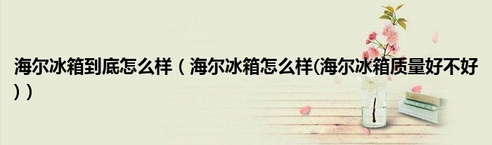 海爾冰箱到底怎么樣（海爾冰箱怎么樣(海爾冰箱質(zhì)量好不好)）
