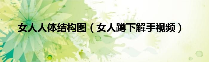 女人人體結(jié)構(gòu)圖（女人蹲下解手視頻）