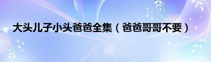 大頭兒子小頭爸爸全集（爸爸哥哥不要）