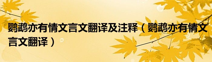 鸚鵡亦有情文言文翻譯及注釋（鸚鵡亦有情文言文翻譯）