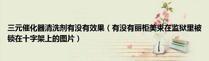 三元催化器清洗劑有沒有效果（有沒有麗柜美束在監(jiān)獄里被鎖在十字架上的圖片）