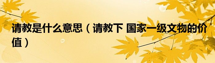 請教是什么意思（請教下 國家一級文物的價值）