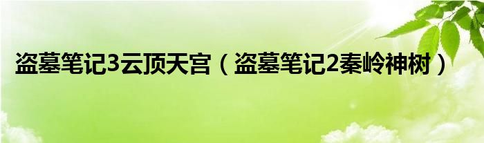 盜墓筆記3云頂天宮（盜墓筆記2秦嶺神樹）