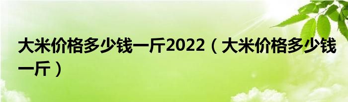 大米價(jià)格多少錢一斤2022（大米價(jià)格多少錢一斤）
