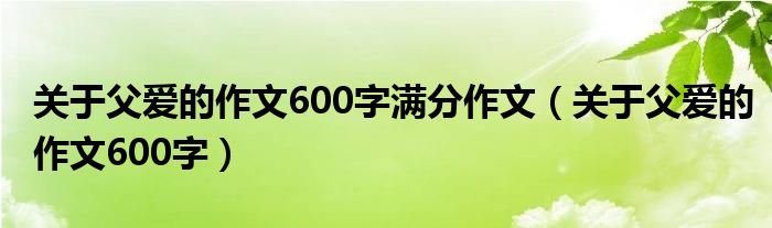 關(guān)于父愛的作文600字滿分作文（關(guān)于父愛的作文600字）