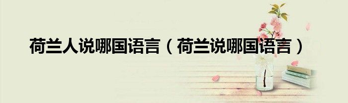 荷蘭人說哪國語言（荷蘭說哪國語言）
