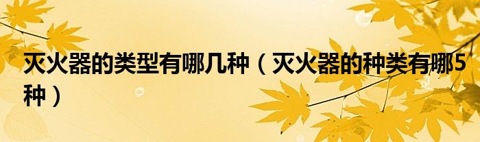 滅火器的類型有哪幾種（滅火器的種類有哪5種）