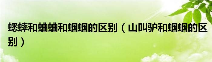 蟋蟀和蛐蛐和蟈蟈的區(qū)別（山叫驢和蟈蟈的區(qū)別）