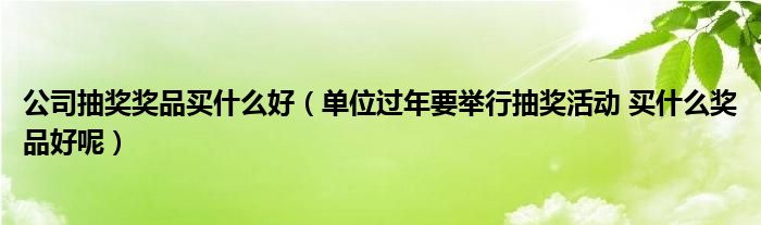 公司抽獎獎品買什么好（單位過年要舉行抽獎活動 買什么獎品好呢）