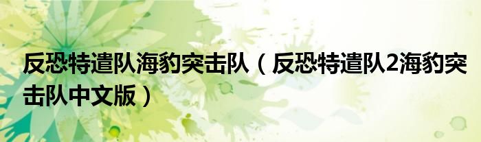 反恐特遣隊海豹突擊隊（反恐特遣隊2海豹突擊隊中文版）