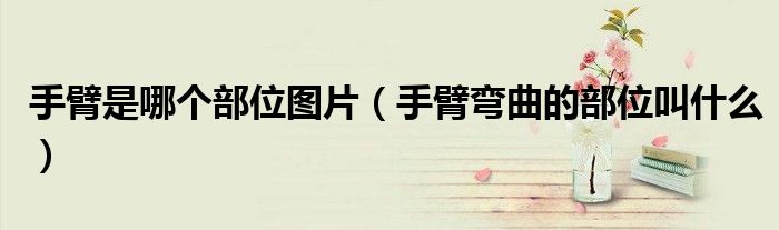 手臂是哪個部位圖片（手臂彎曲的部位叫什么）