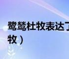 鷺鷥杜牧表達(dá)了作者怎樣的思想感情（鷺鷥杜牧）
