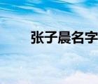 張子晨名字的意思是什么（張子晨）