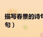 描寫春景的詩句有哪些的詩句（描寫春景的詩句）