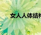 女人人體結(jié)構(gòu)圖（女人蹲下解手視頻）