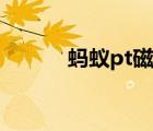 螞蟻pt磁力搜索（螞蟻pt搜索）