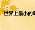 世界上最小的島在哪里（世界上最小的島）