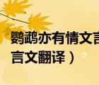 鸚鵡亦有情文言文翻譯及注釋（鸚鵡亦有情文言文翻譯）