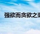 強(qiáng)欲而貪欲之壺怎么用（強(qiáng)欲而謙虛之壺）