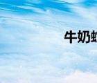 牛奶蛇有毒嗎（牛奶蛇）