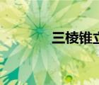 三棱錐立體圖（四棱錐圖片）