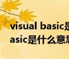 visual basic是什么意思中文翻譯（visual basic是什么意思）