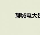 聊城電大是什么學(xué)校（聊城電大）