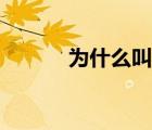 為什么叫獨龍（獨龍什么意思）