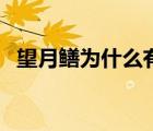 望月鱔為什么有劇毒（望月鱔是真的存在）