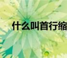 什么叫首行縮進(jìn)（首行縮進(jìn)是什么意思）